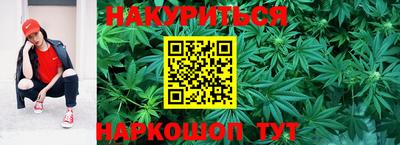 крисы Дубна
