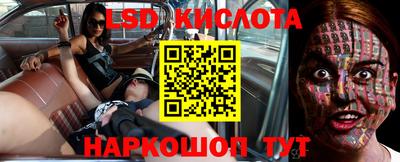 крисы Дубна
