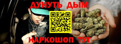 крисы Дубна