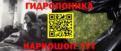 крисы Дубна