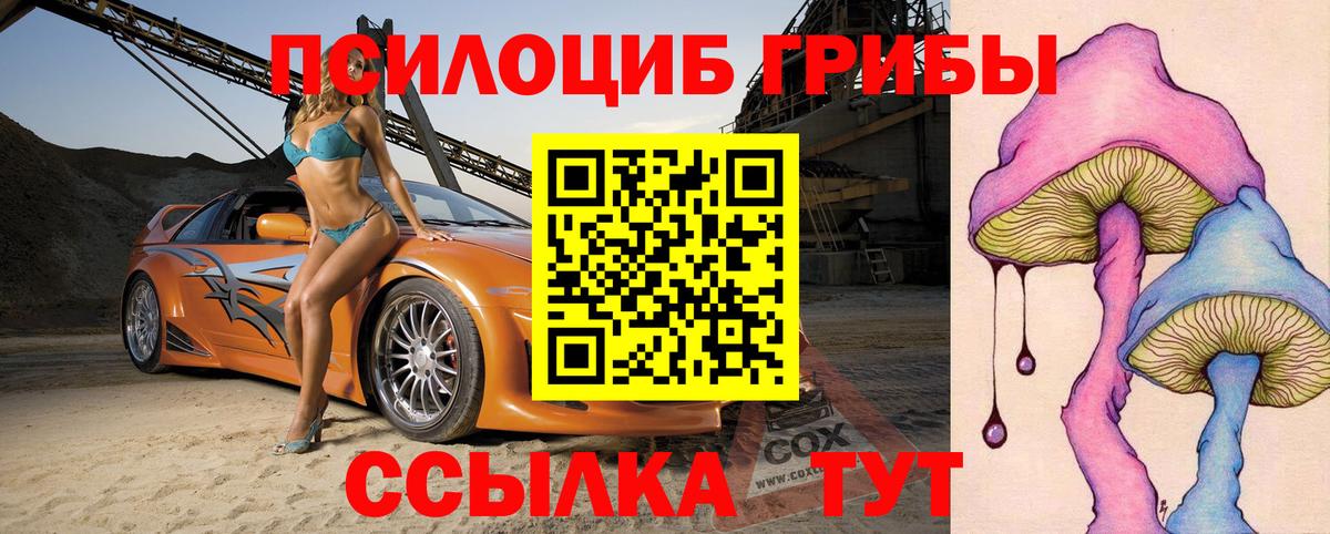 Галлюциногенные грибы Psilocybe  Вход с VPN  Малоярославец  продажа наркотиков  Галлюциногенные грибы прущие грибы 