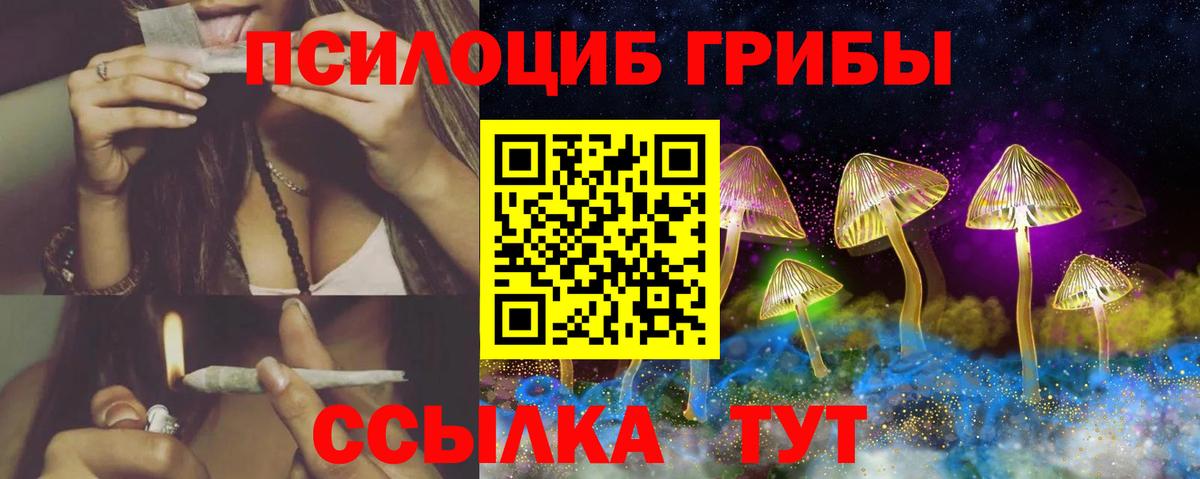 Псилоцибиновые грибы прущие грибы Малоярославец