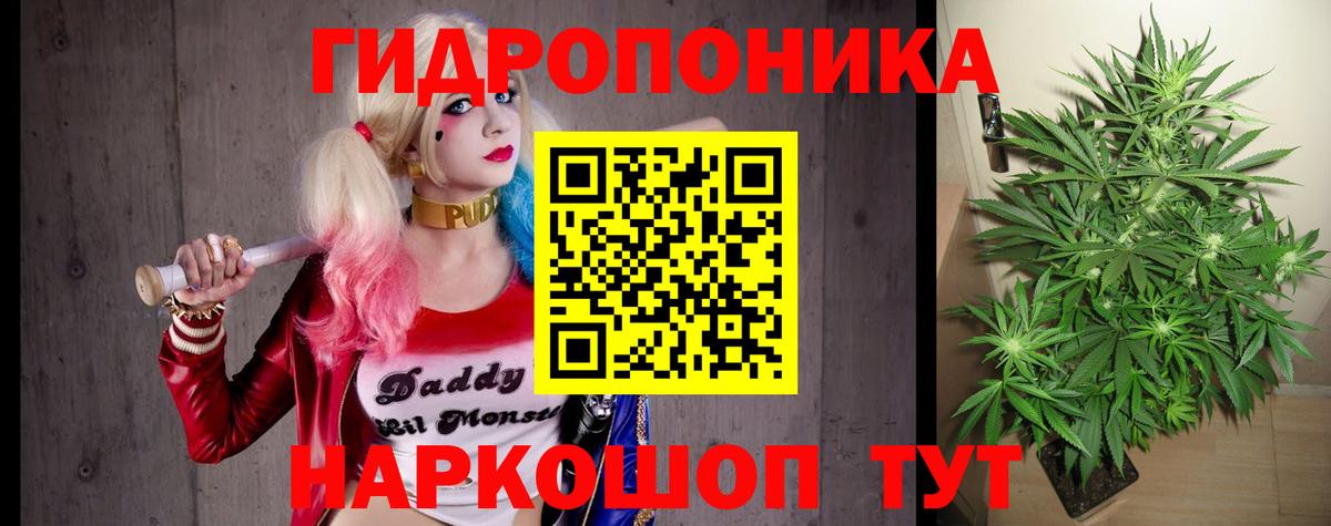 Конопля индика  Канабис Ganja  Бошки Шишки LSD WEED  Малоярославец  Вход с VPN 